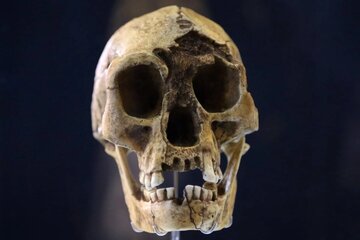 خشکسالی، گرسنگی و مواجهه با انسان خردمند، آخرین فصل زندگی هابیتها را رقم زد