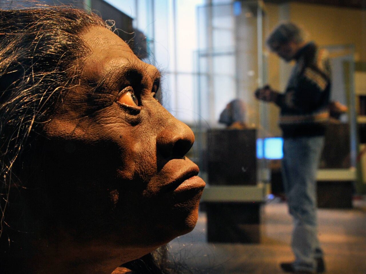 بازسازی انسان فلورسی (Homo floresiensis)