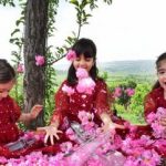 دهمین رویداد گردشگری کردستان رسمیت یافت/ ثبت جشنواره گلاب‌گیری بانه در تقویم ملی کشور