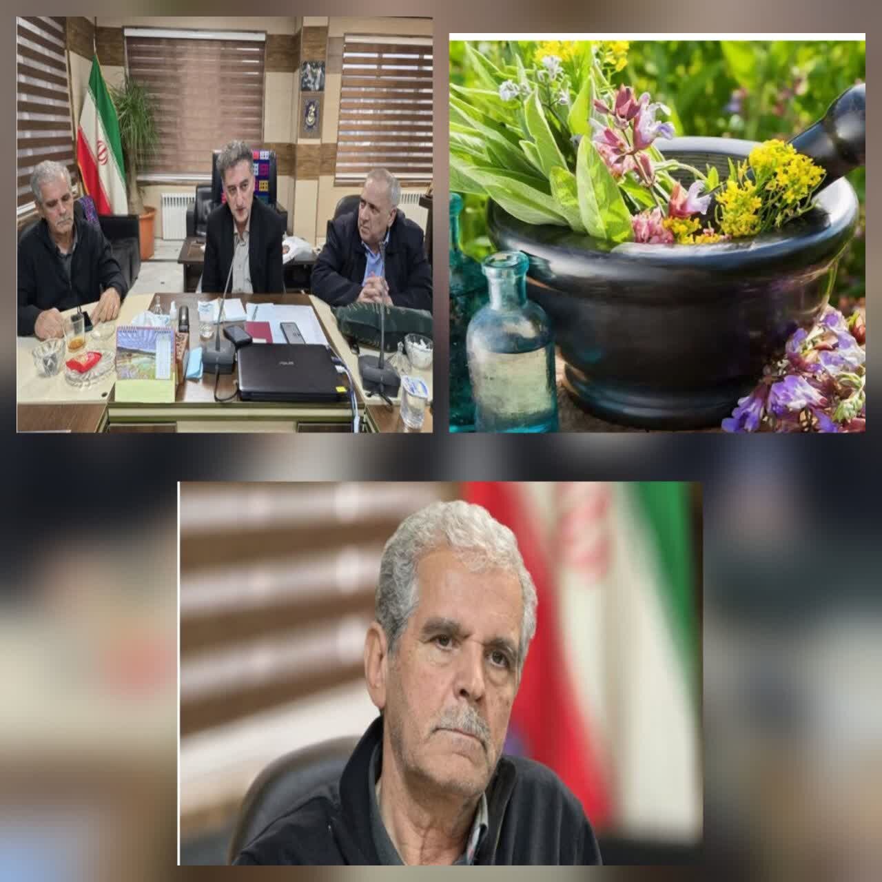دیدار فرمانداررودسر با رئیس اتحادیه انجمن های علمی گیاهان دارویی دیدار فرمانداررودسر با رئیس اتحادیه انجمن های علمی گیاهان دارویی