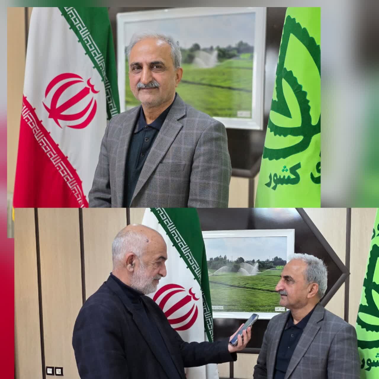 رئیس سازمان چای کشور اعلام کردپرونده ۲۰ ساله چای سنواتی بسته شد رئیس سازمان چای کشور اعلام کردپرونده ۲۰ ساله چای سنواتی بسته شد