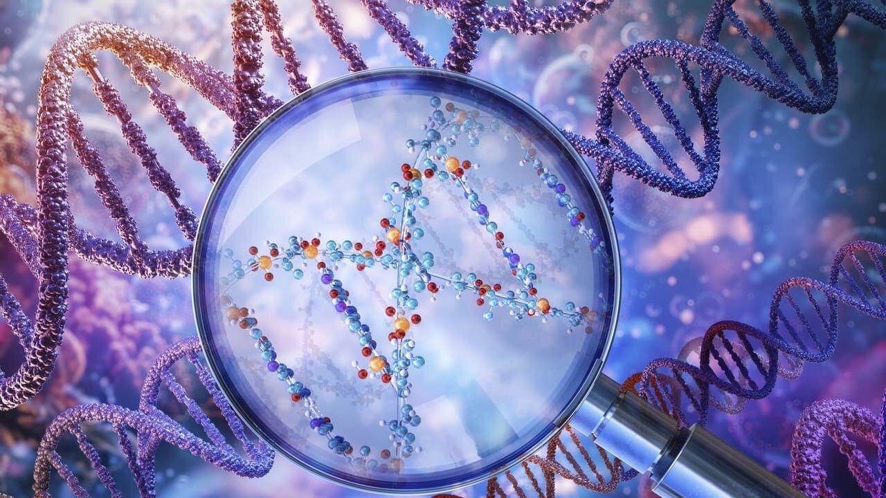 راز عمر ۱۰۰ ساله انسانهای قدیم فاش شد / عمر طولانی، یک ارث باستانی است؟