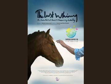 راهیابی «آخرین شیهه…» به جشنواره شنژن چین/ نامزدی جایزه بهترین فیلمبرداری