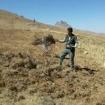 رفع تصرف ۵۷۵۶ مترمربع از اراضی ملی منطقه حفاظت‌شده شیدا شهرستان بن