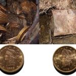 زوج خوششانس اتفاقی ۱۴۰۰ سکه طلا پیدا کردند / پیادهروی با طعم گنج