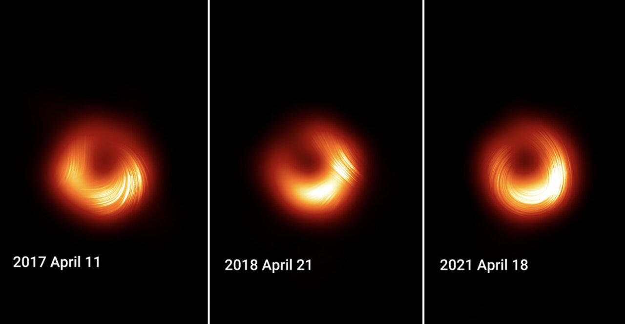 شگفتیهای ۲۰۲۵ زیر لنز دانشگاه تورنتو /عکس
