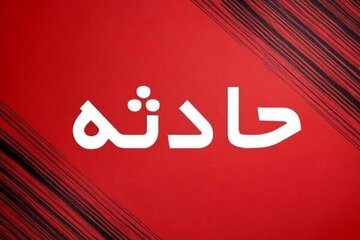 عابرپیاده از ترس سگ وارد بزرگراه شد و جان باخت