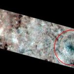 عنکبوتی غول‌پیکر در «اروپا» دیده شد/ عکس