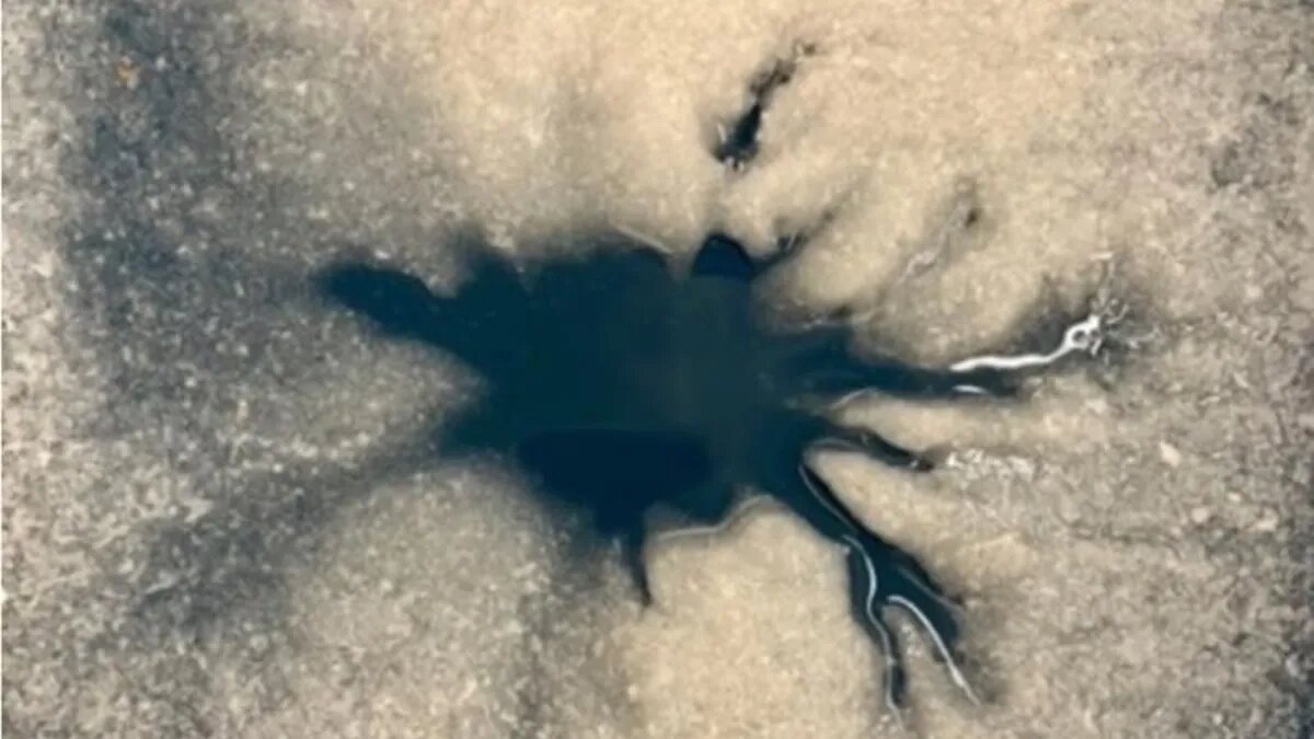 عنکبوتی غولپیکر روی مشتری دیده شد/ معمای ۳۰ ساله