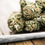 عوارض تکاندهنده مخدر گل؛ از قتل و خودکشی تا بستری شدن در تیمارستان/ دسترسی به این مخدر خطرناک در کشور کمتر از ۱۰ دقیقه است