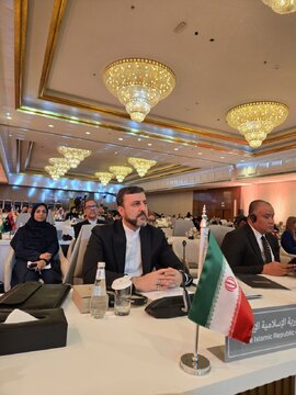 غریب آبادی: ایران در ماه‌های آینده میزبان کنفرانس «جنبش جهانی حمایت از خانواده» خواهد بود