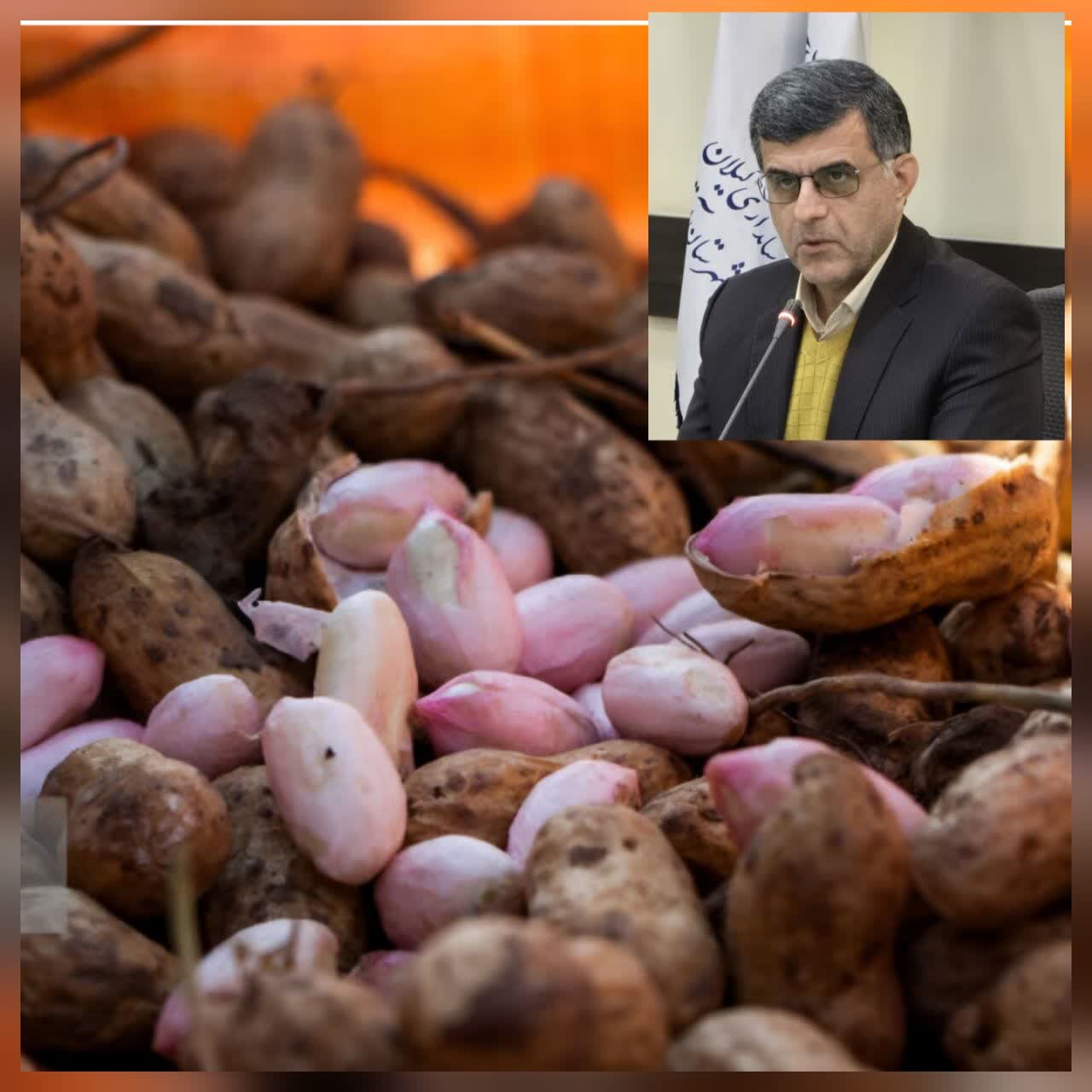 فرماندار آستانه اشرفیه: فرماندار آستانه اشرفیه: