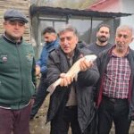 فرماندار رودسر :تولید ماهیان سردابی و خاویاری رودسر ظرفیت صادراتی بالایی دارد