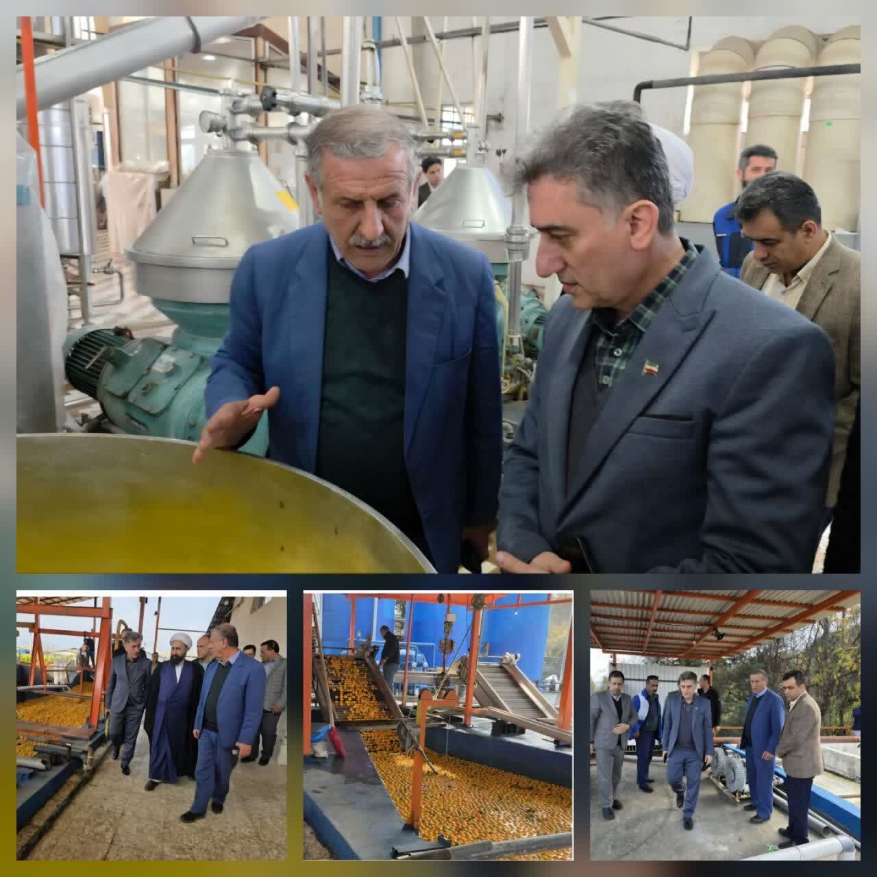 فرماندار رودسر: کنسانتره پرتقال ارزآوری دارد فرماندار رودسر: کنسانتره پرتقال ارزآوری دارد