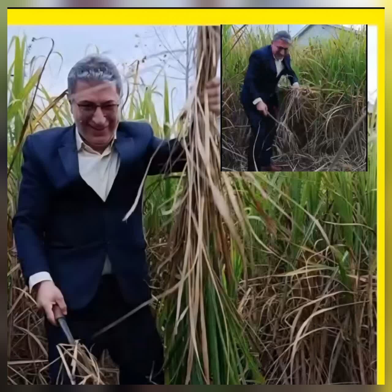 فرماندار صومعه سرا : فرماندار صومعه سرا :