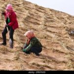 «فیزیکِ فولاد» به نجاتِ «بیابان» می‌آید؛ فرمول فراموش‌ شده‌ای که می‌تواند بدون آب و برق، گلویِ کانون‌های ریزگرد خوزستان را بفشارد