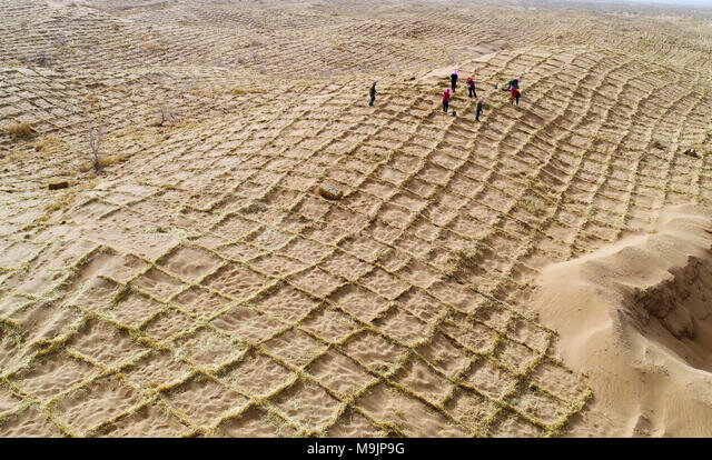 «فیزیکِ فولاد» به نجاتِ «بیابان» میآید؛ فرمول فراموش شدهای که میتواند بدون آب و برق، گلویِ کانونهای ریزگرد خوزستان را بفشارد