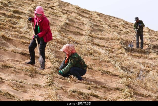 «فیزیکِ فولاد» به نجاتِ «بیابان» میآید؛ فرمول فراموش شدهای که میتواند بدون آب و برق، گلویِ کانونهای ریزگرد خوزستان را بفشارد