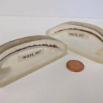 قدیمیترین جانور منفرد دنیا که ۵۰۷ سال عمر کرد