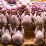 قیمت مرغ تا این تاریخ ۱۵ درصد افزایش مییابد/جزییات