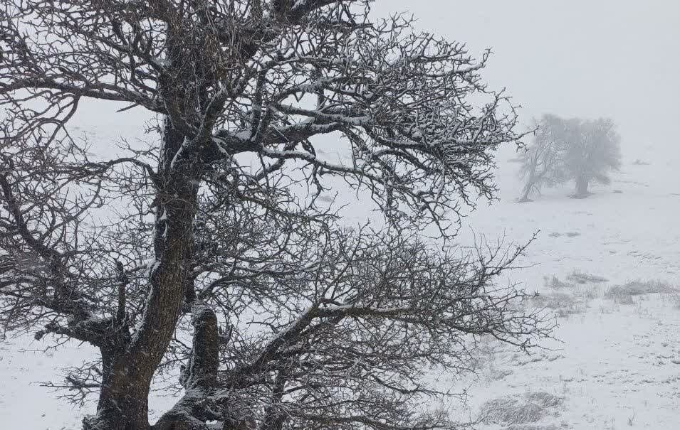 مدیرکل هواشناسی گیلان: مدیرکل هواشناسی گیلان: