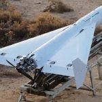 مشهورترین سلاح جهان / همه این پرنده ایرانی را میخواهند