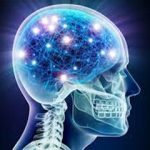 مصرف این غذاها به مغز آسیب می‌رساند