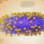 مطالعات دانشمندان دانمارکی؛ ویروس سرماخوردگی و خطر ابتلا به این بیماریها را زیاد میکند