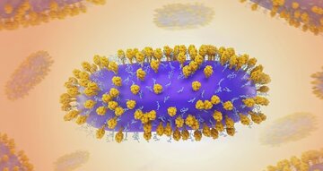 مطالعات دانشمندان دانمارکی؛ ویروس سرماخوردگی و خطر ابتلا به این بیماریها را زیاد میکند