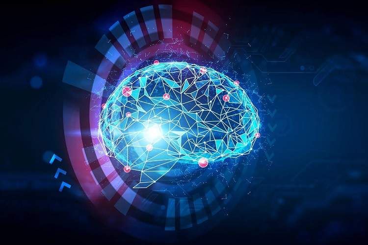 نتیجه پژوهش جانز هاپکینز: معماری مغز، میانبری برای هوش مصنوعی