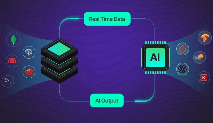 نتیجه پژوهش جانز هاپکینز: معماری مغز، میانبری برای هوش مصنوعی