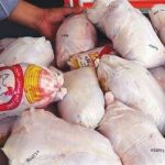 نیم‌هزار تُن مرغ ناسالم پشت در بازار زنجان متوقف شده است