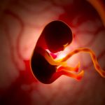 هوش مصنوعی دقت تشخیص مشکلات قلب جنین را افزایش میدهد