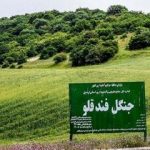 ورود به جنگل های استان اردبیل ممنوع شد