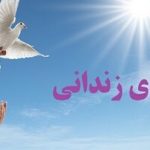 پویش «مهر مادری» در کردستان؛ فراخوان عمومی برای آزادی زنان زندانی جرائم مالی