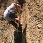 پیوند آب و خاک؛ اجرای طرح «آبخیز تا جالیز» در سمنان،
آبخیز تا جالیز؛ اجرای ۱۹ پروژه آبخیزداری و کشاورزی در استان سمنان با اعتبار ۱۶ میلیارد تومان