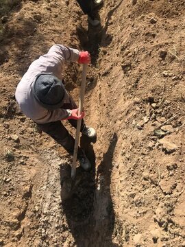 پیوند آب و خاک؛ اجرای طرح «آبخیز تا جالیز» در سمنان،
آبخیز تا جالیز؛ اجرای ۱۹ پروژه آبخیزداری و کشاورزی در استان سمنان با اعتبار ۱۶ میلیارد تومان