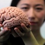 چه کنیم مغزمان جوان‌ بماند؟