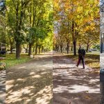 کشف ناهمزمانی فصول: راز تنوع زیستی