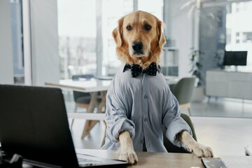 کشف ژن‌های مشترک میان سگ و انسان /هوش و اضطراب انسان در بدن یک سگ؟