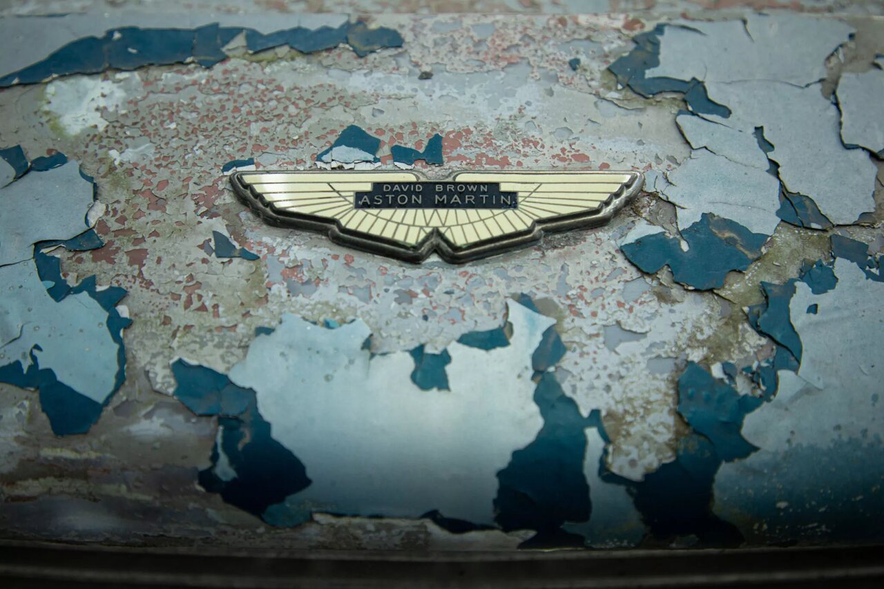 گنج میلیون دلاری دوباره زنده شد