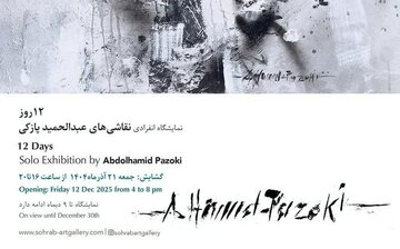 ۱۲ روز جنگ روی بومهای شلاقخورده/ سیاه و سفید، سکوت و آشوب را روایت میکند