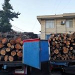 ۲دستگاه  خودرو حامل ۸ تن هیزم جنگلی در استان اردبیل توقیف شد