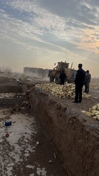 ۳هزارمترمربع از اراضی کشاورزی تاکستان به چرخه تولید بازگشت