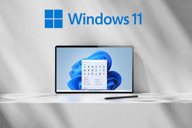 Windows 11 هنوز Windows 10 را پشت سر نگذاشته است!