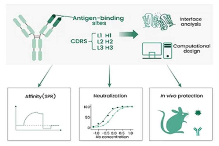 هوش مصنوعی، انقلابی در واکسنهای سریع و دقیق آنفلوآنزا!