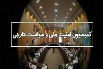 گزارش وزارت کشور به مجلس درباره اعتراضات/ اکثر مجروحان از نیروهای بسیج، پلیس و امنیتی بودند/ ۸۵ درصد فراخوان ها از پلتفرم های خارجی بوده است