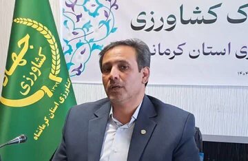 بازار گوشت قرمز در آستانه شب عید و رمضان زیر ذرهبین تأمین