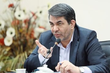 تاکید استاندار کرمان بر نگاه واقع بینانه به حوزه اتباع خارجی