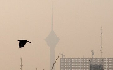 تهران در وضعیت نارنجی/ این گروه از خانه خارج نشوند